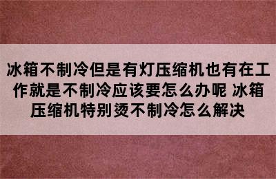 冰箱不制冷但是有灯压缩机也有在工作就是不制冷应该要怎么办呢 冰箱压缩机特别烫不制冷怎么解决